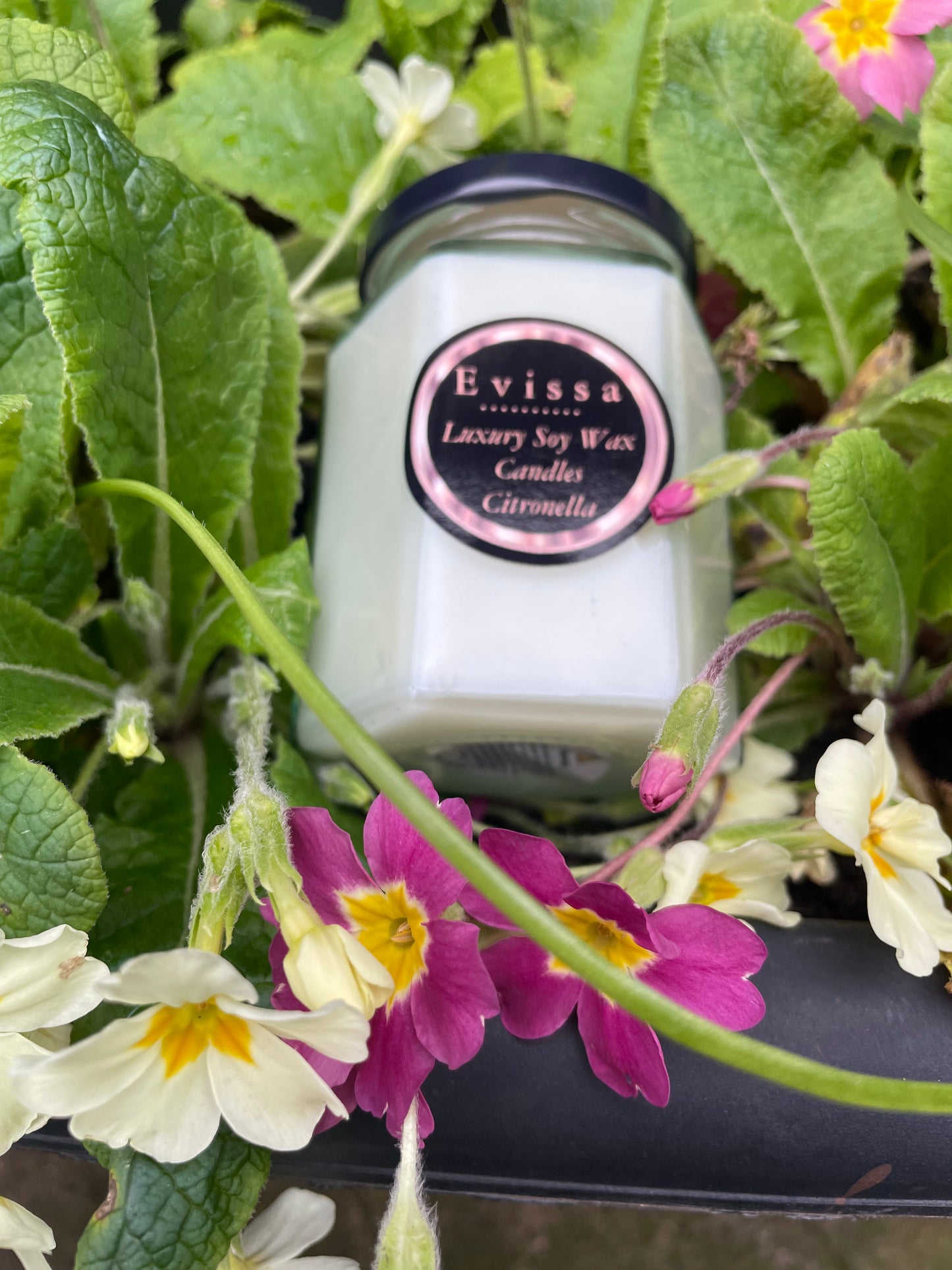 Soy Citronella Garden Candle